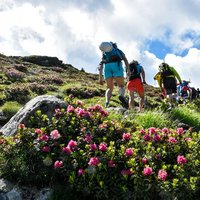 La Primavera sulle montagne del Cermis  - Inaugurazione della ferrata in Val di Fiemme